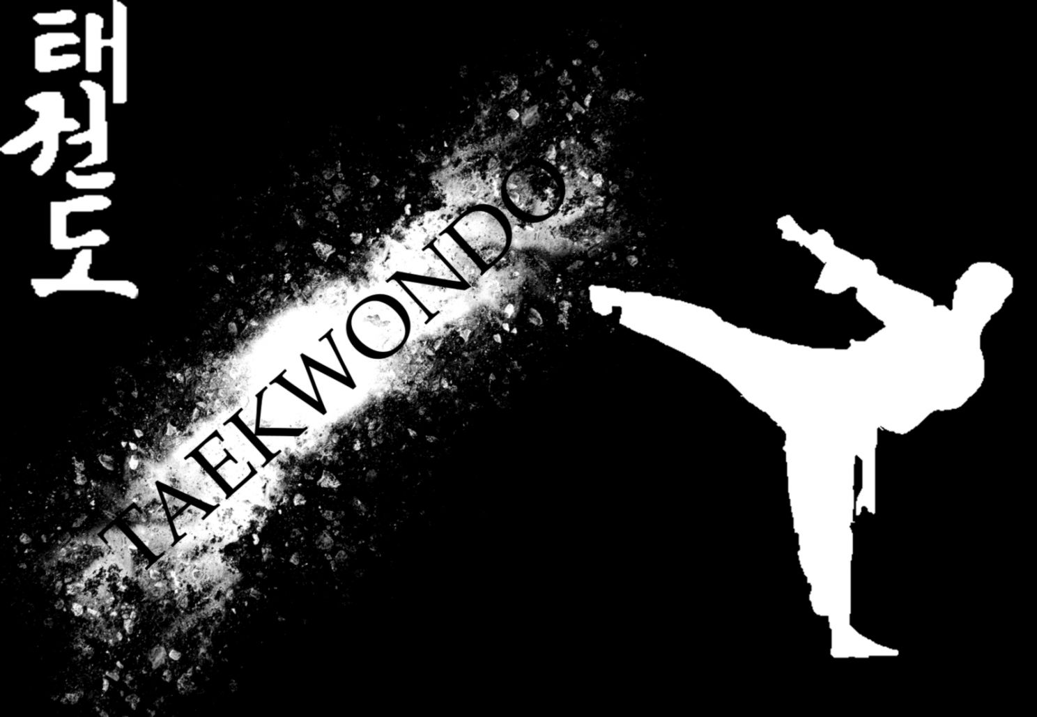 Taekwondo Girl Desktop Background Taekwondo Girl Desktop Background