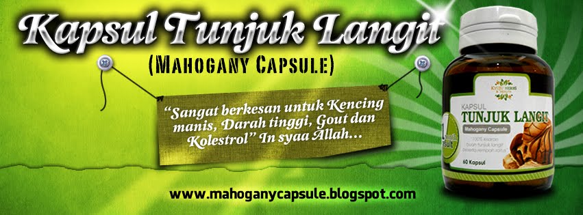 Kapsul Tunjuk Langit