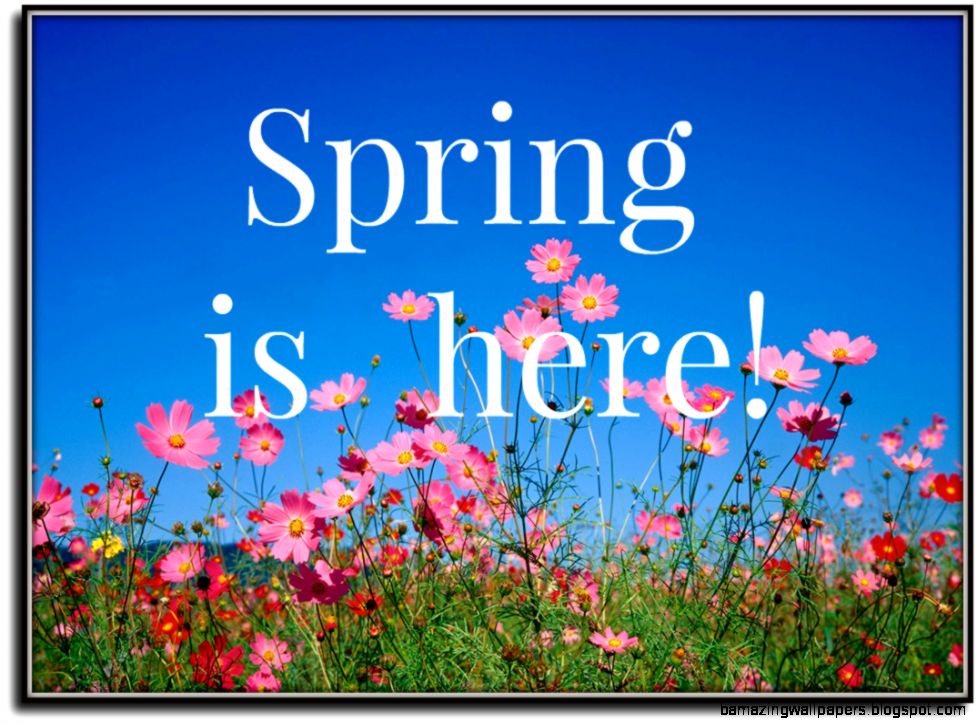 Spring has Sprung — Decohubs Spring has Sprung — Decohubs