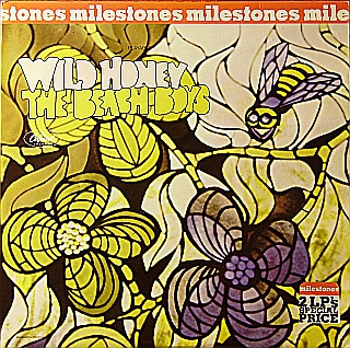 Brian Wilson And Friends Wild Honey