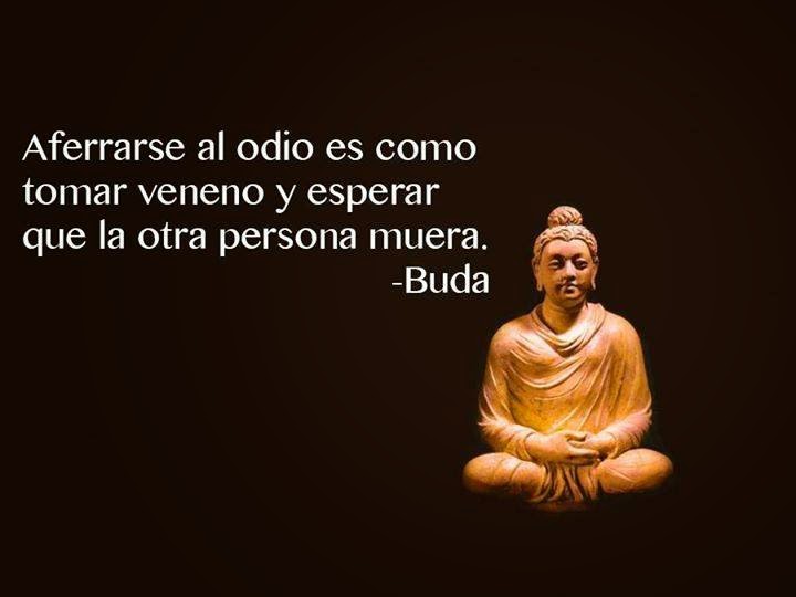  CITAS CELEBRES, DESMOTIVACIONES...... LOGO-AFERRAR+AL+ODIO+ES+COMO+TOAMR+VENENO+Y+ESPEFRAR+QUE+LA+OTRA+PERSONA+MUERA-+BUDA