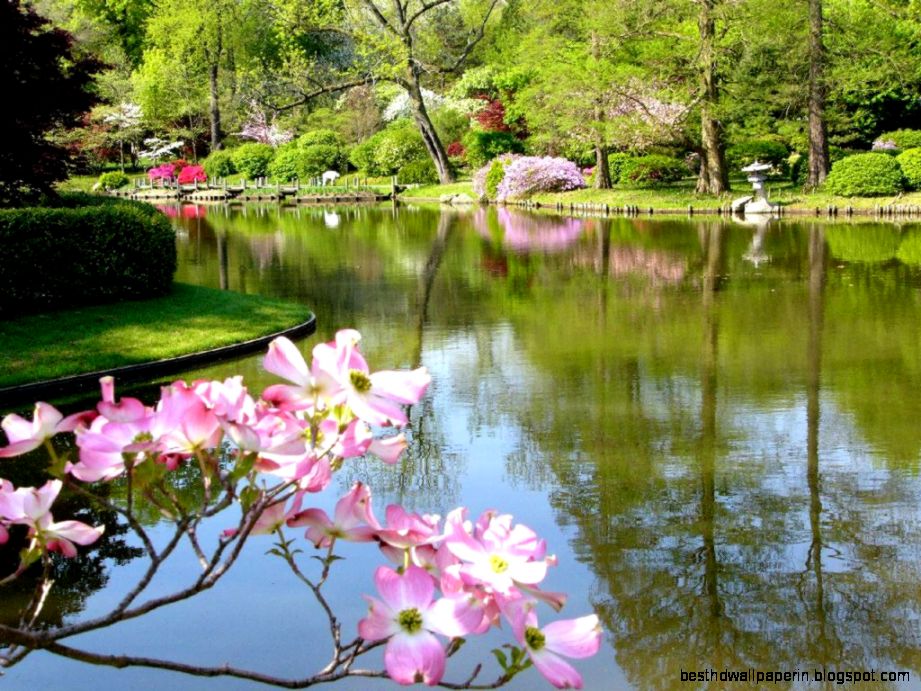 Free Springtime Desktop Wallpaper wallpaper wallpaper hd Free Springtime Desktop Wallpaper wallpaper wallpaper hd