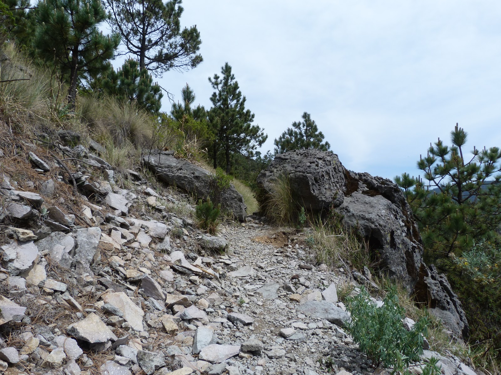 Mexican Mountain Running Desierto De Los Leones The best place to run