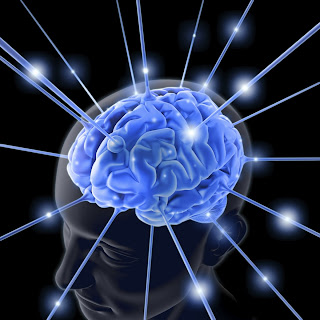 Rol del cerebro Rol del cerebro