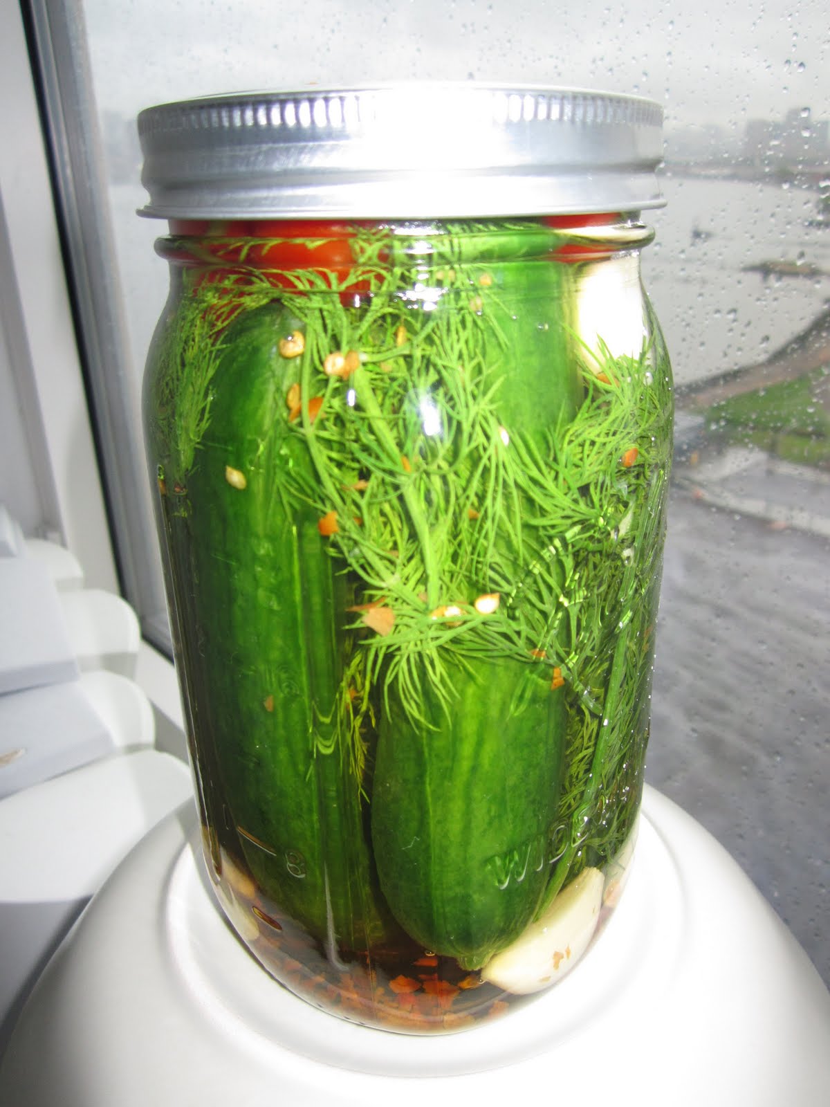 Israeli Pickles in Brine NYC Food Report