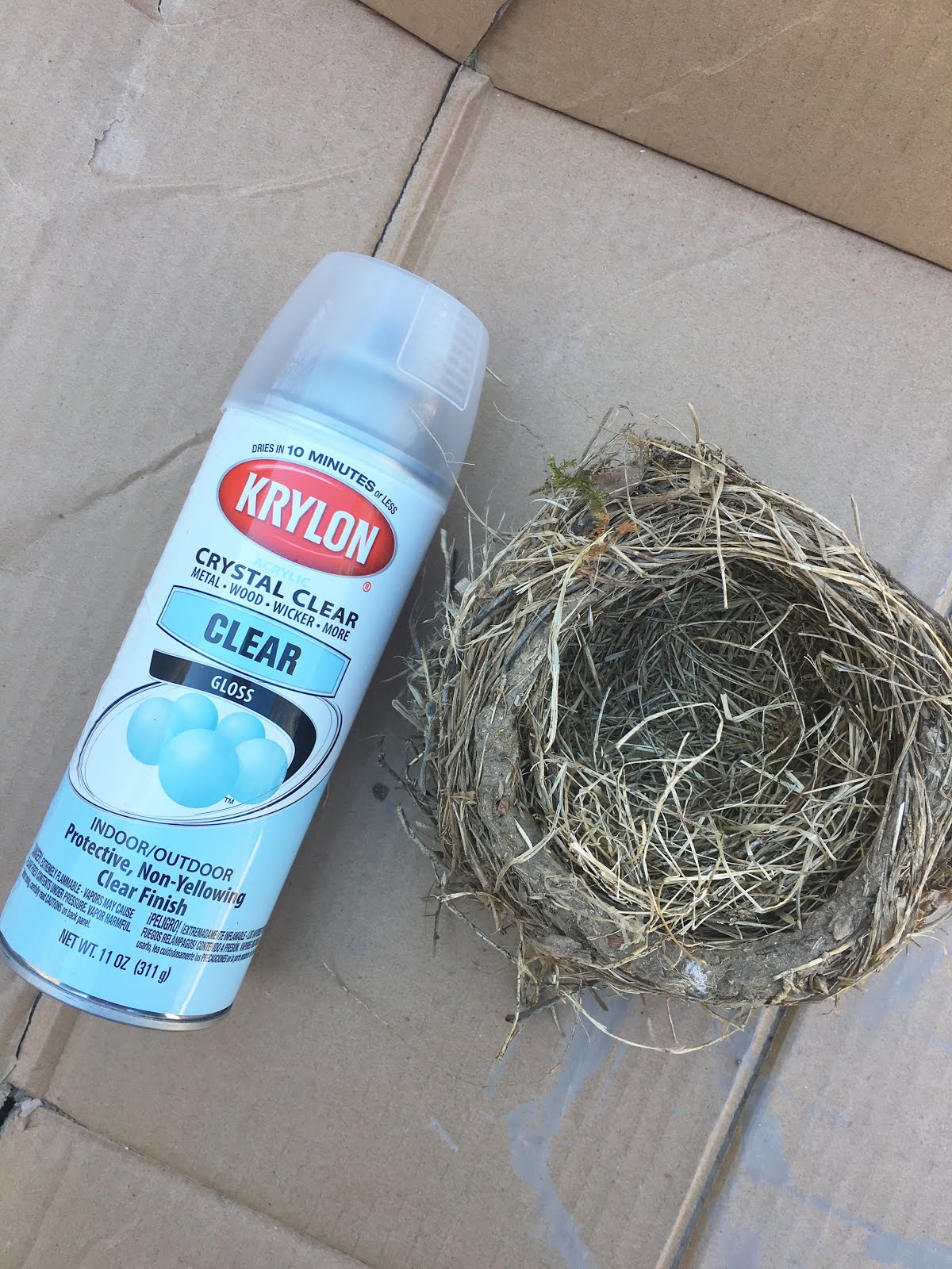 Magnolia Mamas How To Preserve a Bird's Nest