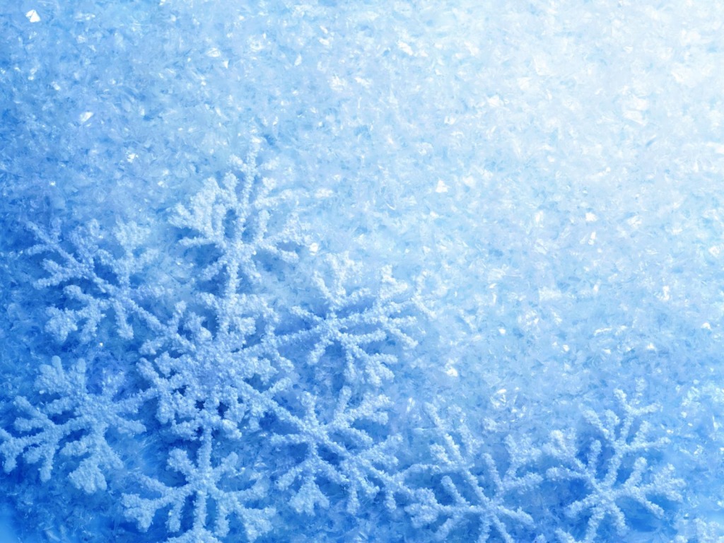 PAHULJE - Ostrvo ljubavi