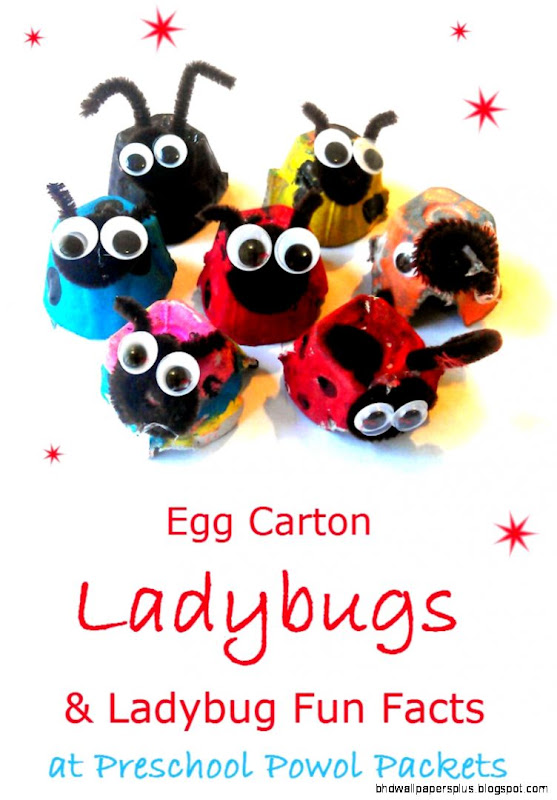 Egg Carton Ladybug Preschool Craft amp Ladybug Fun Facts Egg Carton Ladybug Preschool Craft amp Ladybug Fun Facts