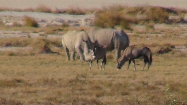 parc national