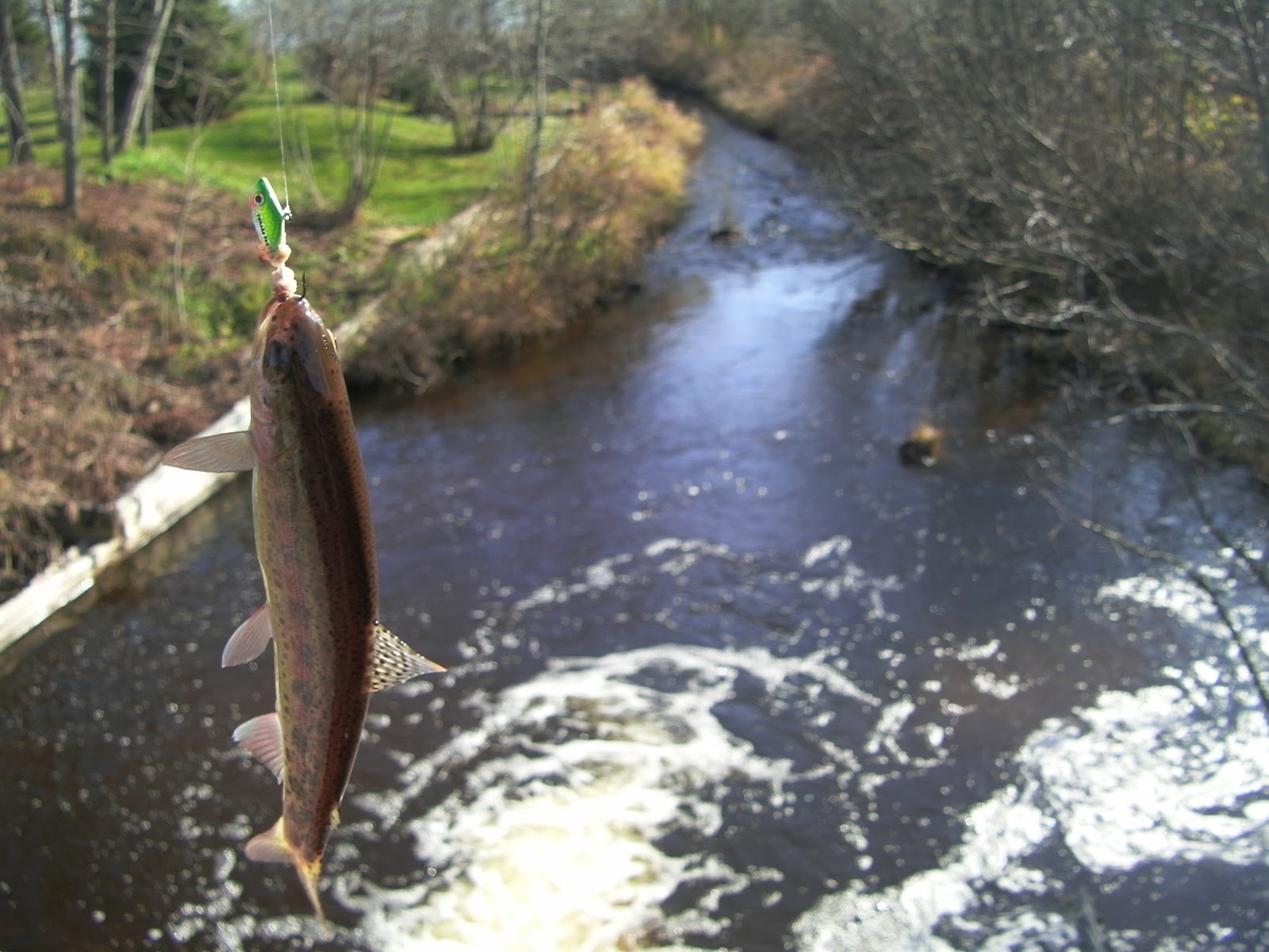 Wisconsin Fishing Reports Algoma Stream Report 11/12/11