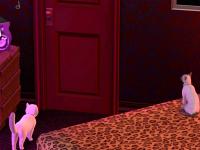 catstory2-9.jpg