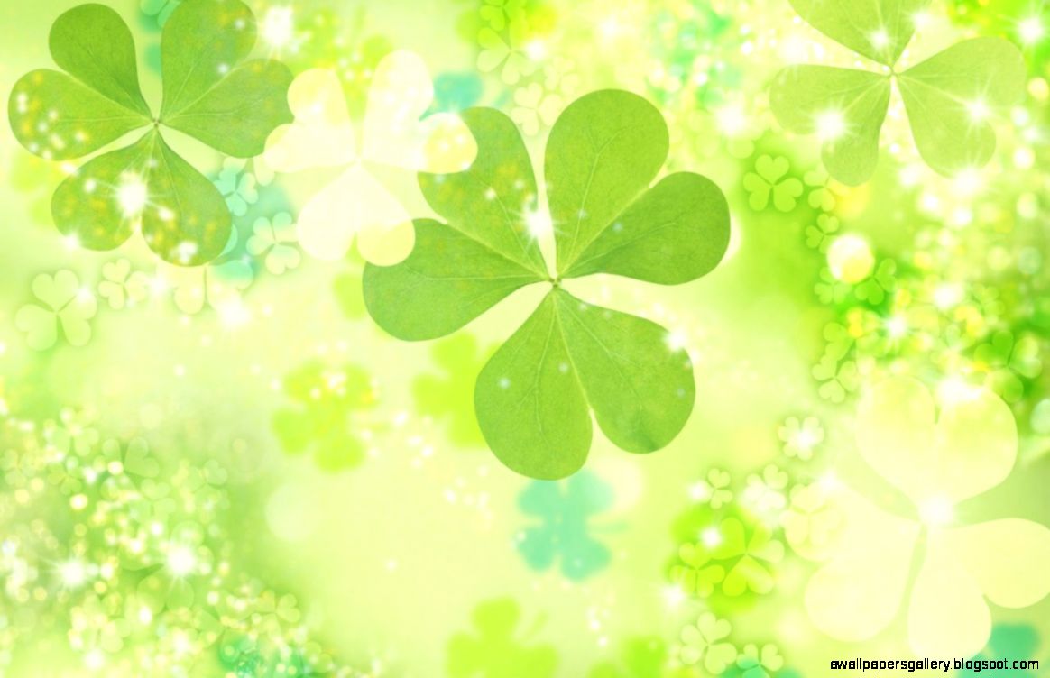 Beautiful Flowers Background WallpapersBackground Wallpapers Beautiful Flowers Background WallpapersBackground Wallpapers