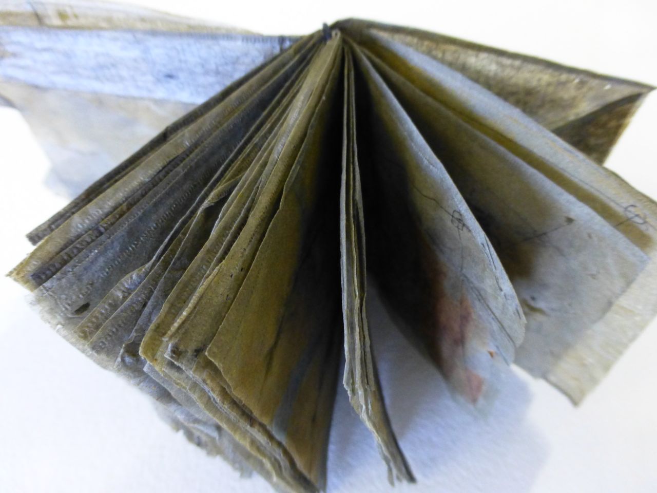 tracemarks tea bags..