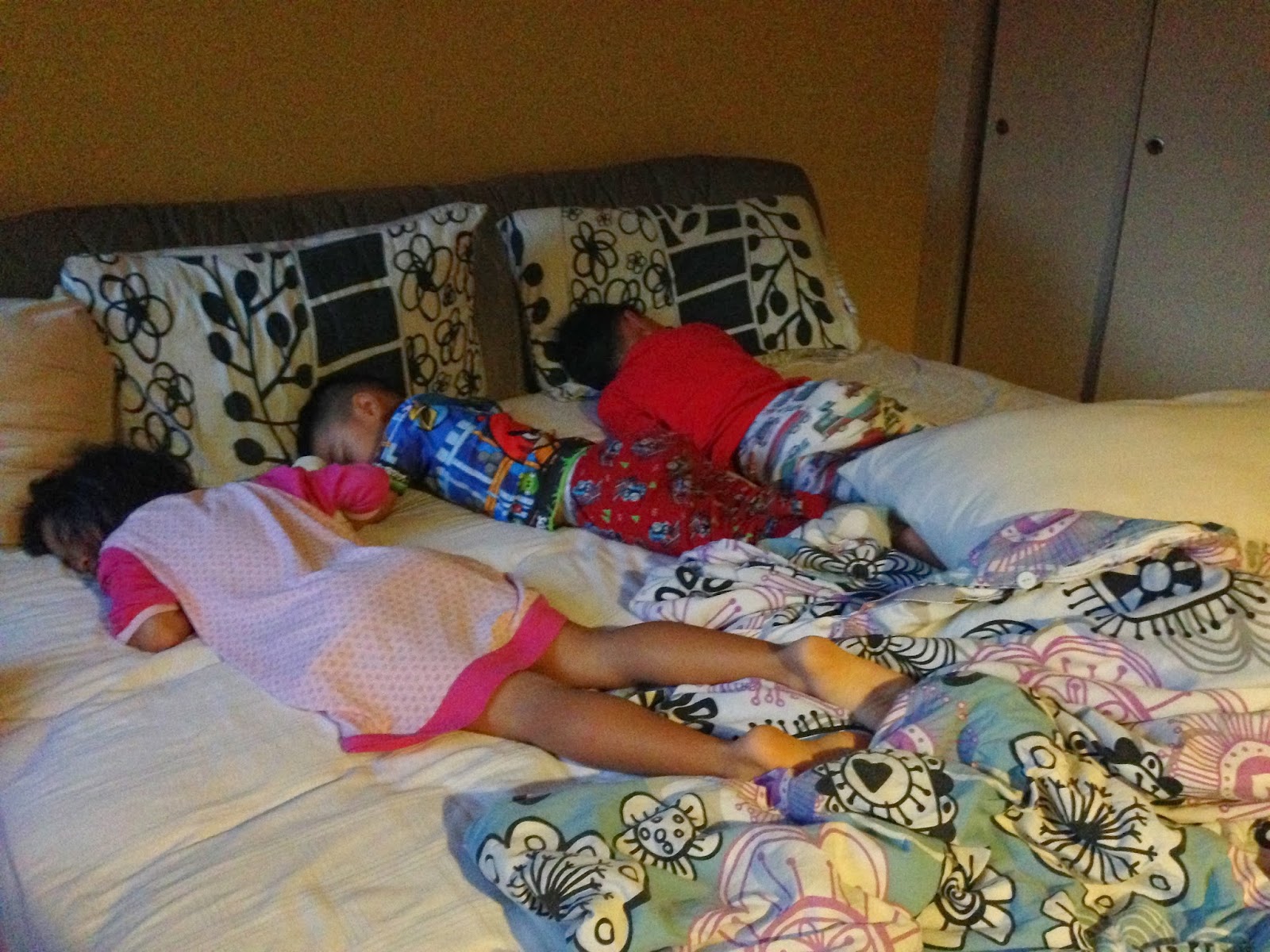 Child's sleeping bag bed,circadian rhythm test,cpap adjustment - Downl...