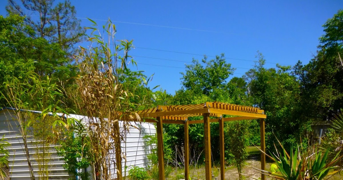 koi-pond-construction-houston-2.jpg
