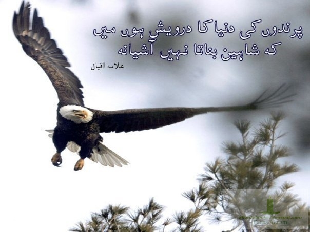 english essay why i love pakistan english essay why i love pakistan