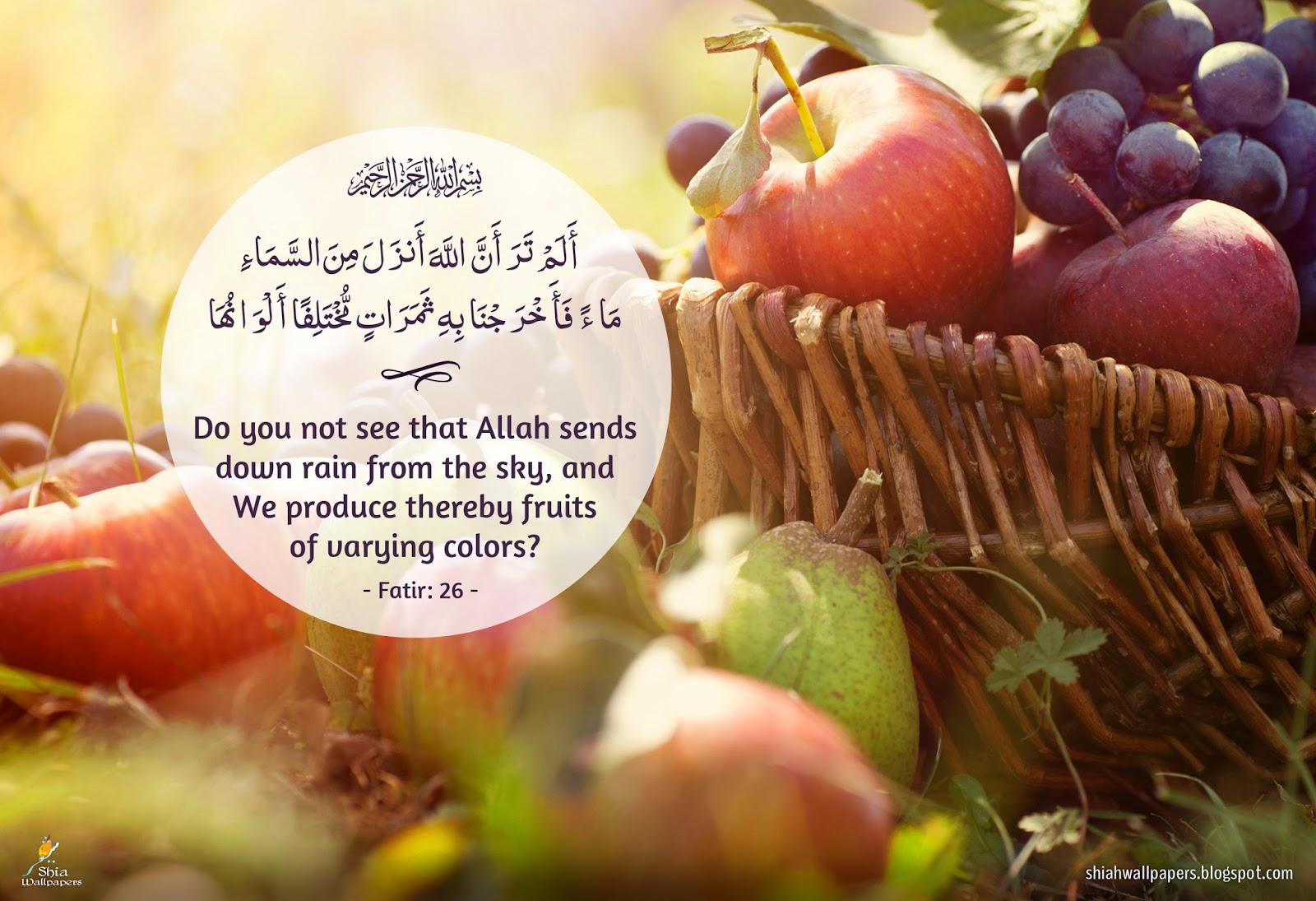 Shia Wallpapers Sign of Allah (swt) Fruits of various colors
