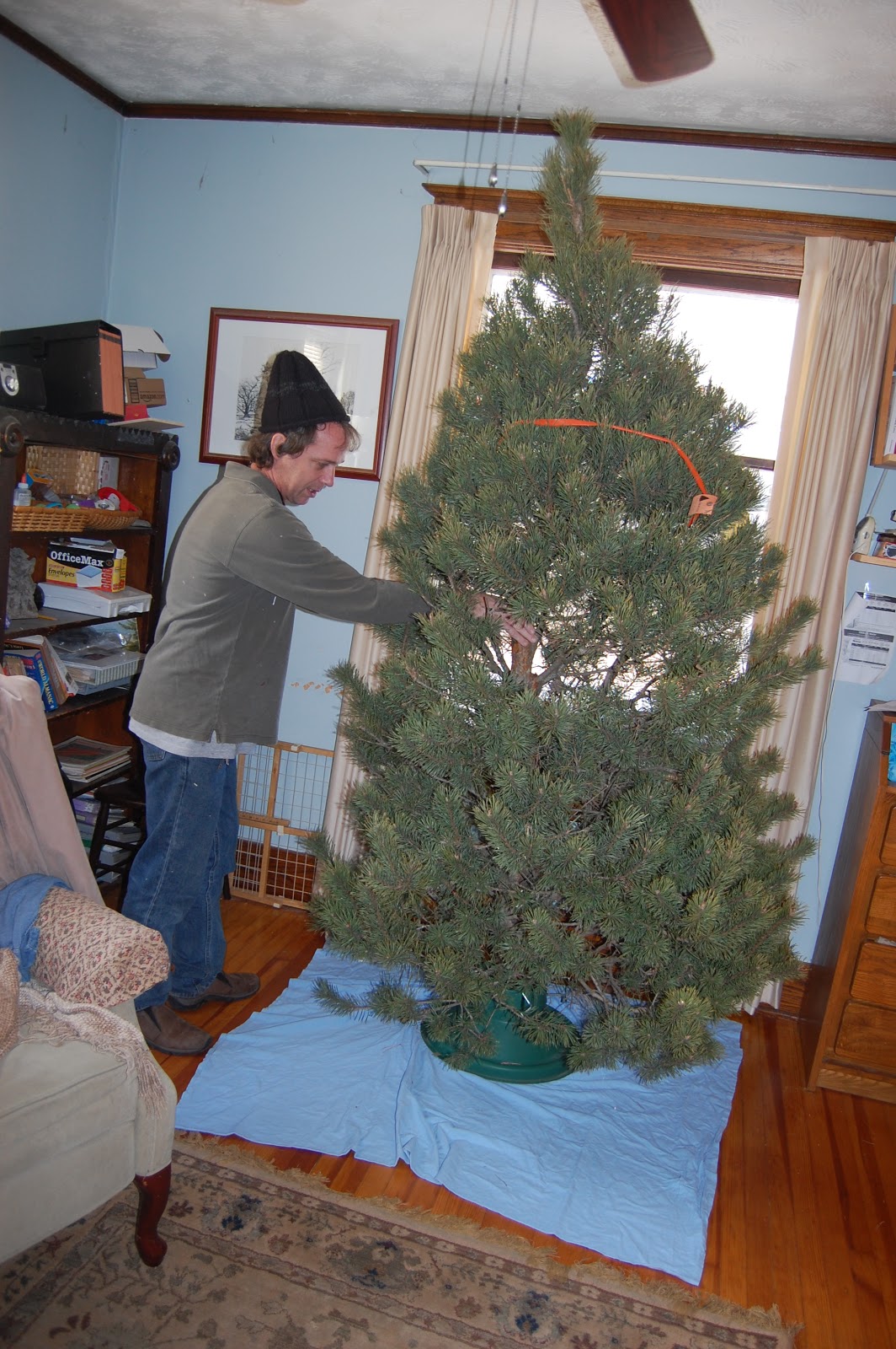 Julie Living The Dream Oh Christmas Tree