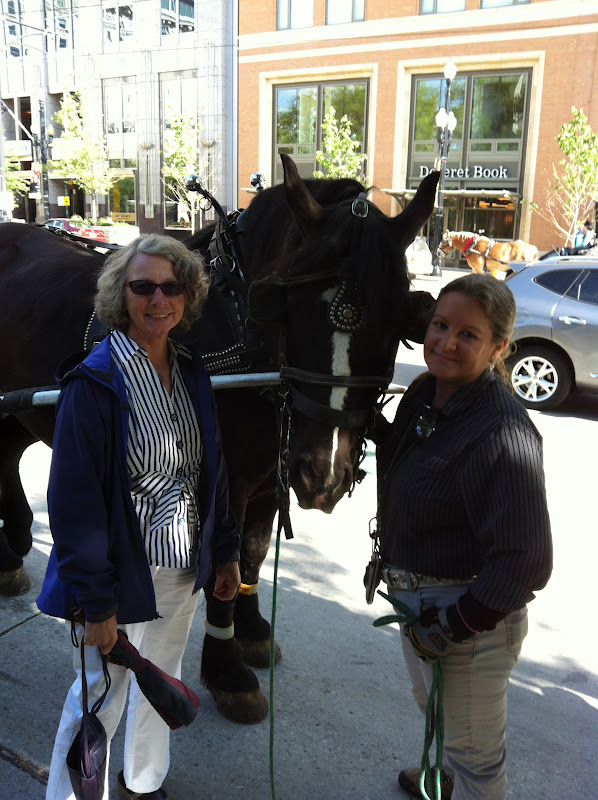 Living a Dream Driven by the Slave Driver