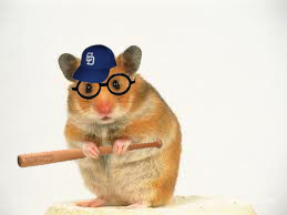 baseball hamster
