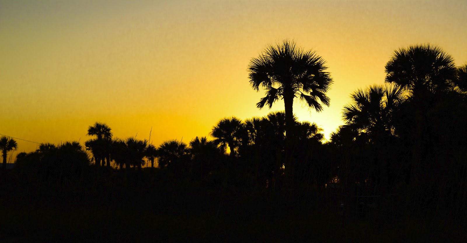 Edisto Beach Sc Weather March Edisto Beach Sc Weather March
