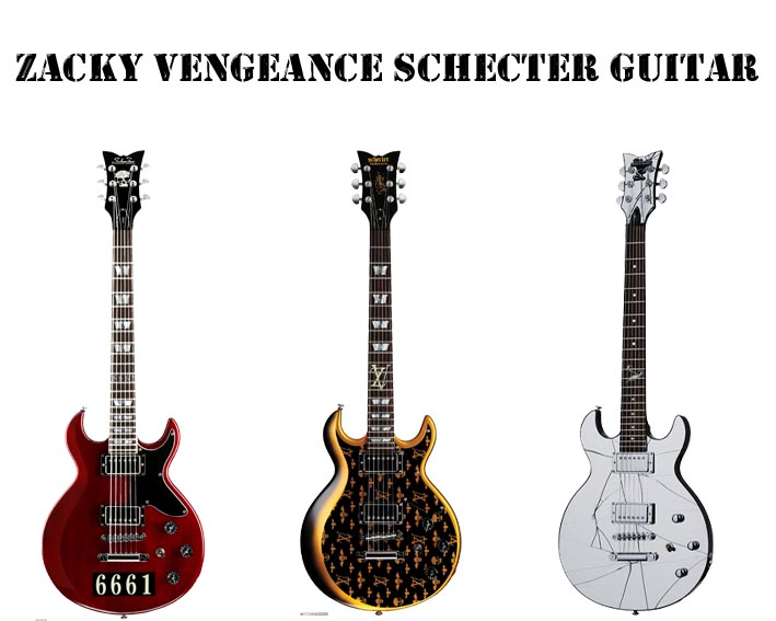 hey a7x fam i really need your help on finding this Zacky guitar that he  used in Guitar Centers interview back in 2009 with Syn. if any of you guys  know where