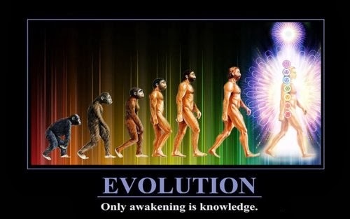 Evoluir é administrar o caos da existência.