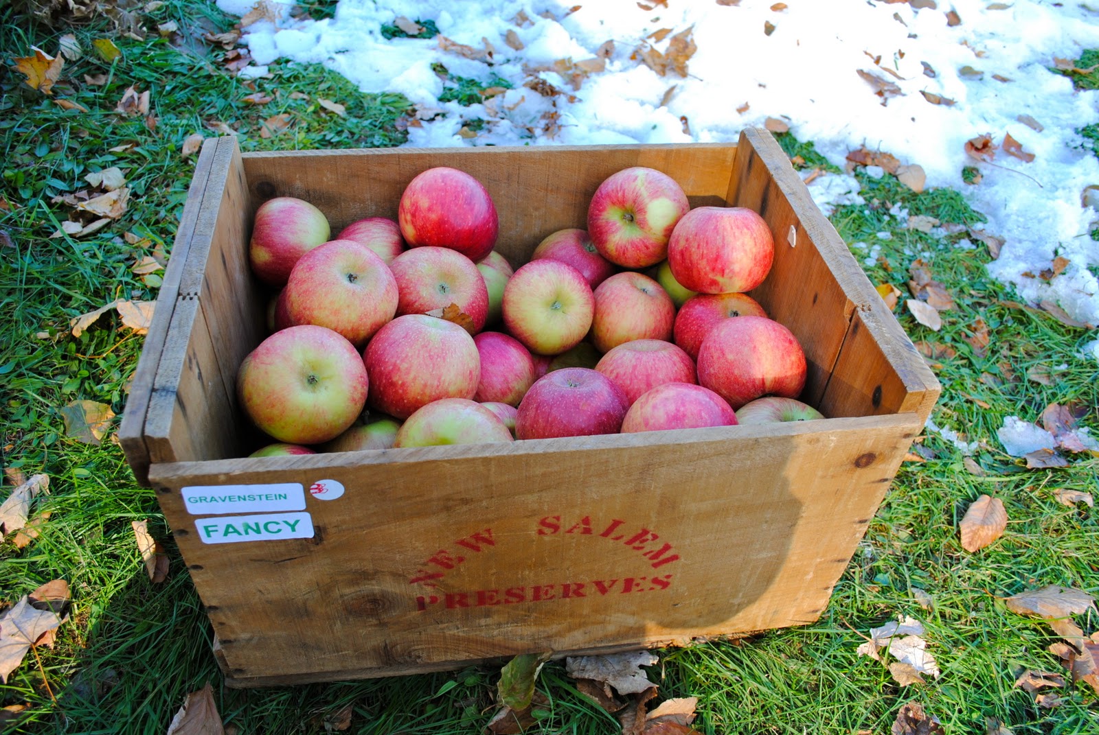 Dorm Room Dinner Cider Day at New Salem Preserves and Curried