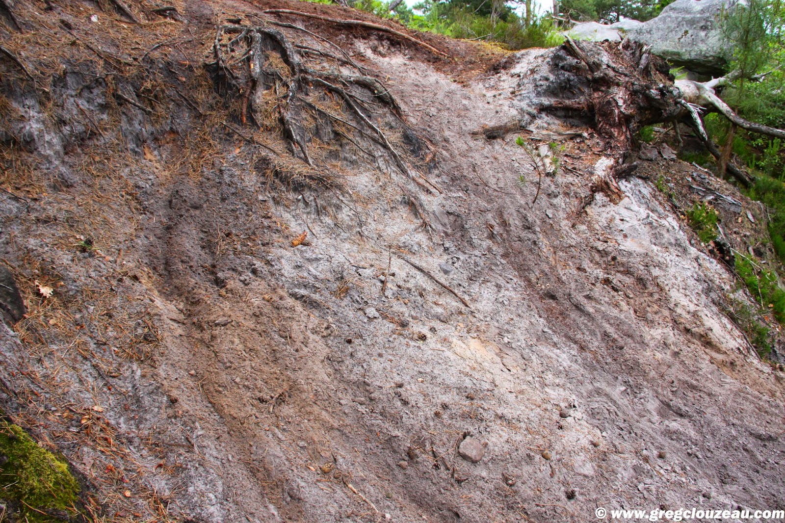 a la rencontre des auteurs avon 2011