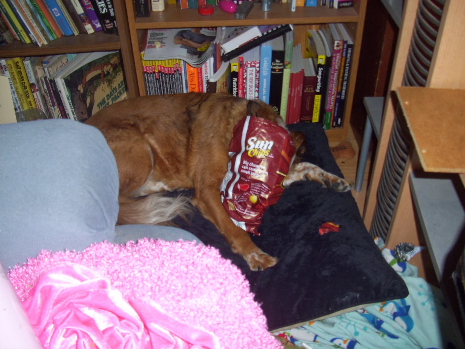 The Dog Geek CHIP BAGS OF DEATH!!!