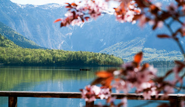 HALLSTÄTTERSEE FRÜHLING