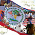Belize Population By Race