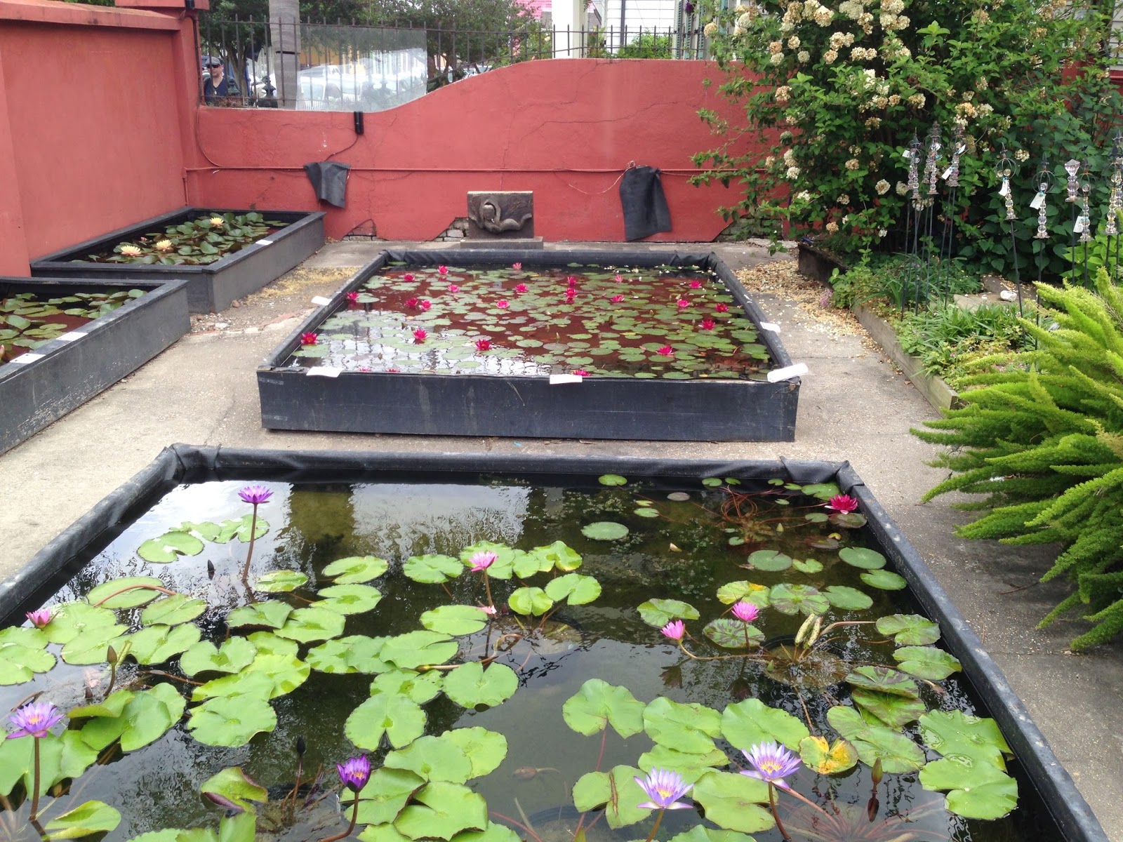 The Lents Farmer American Aquatic Gardens & Gifts in New Orleans