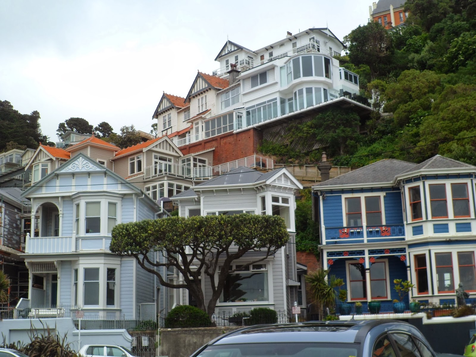 Bliss and the Retiree Oriental Bay, Wellington, New Zealand (plus NZ's
