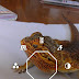 Snap Camera HDR v3.0.1 Android