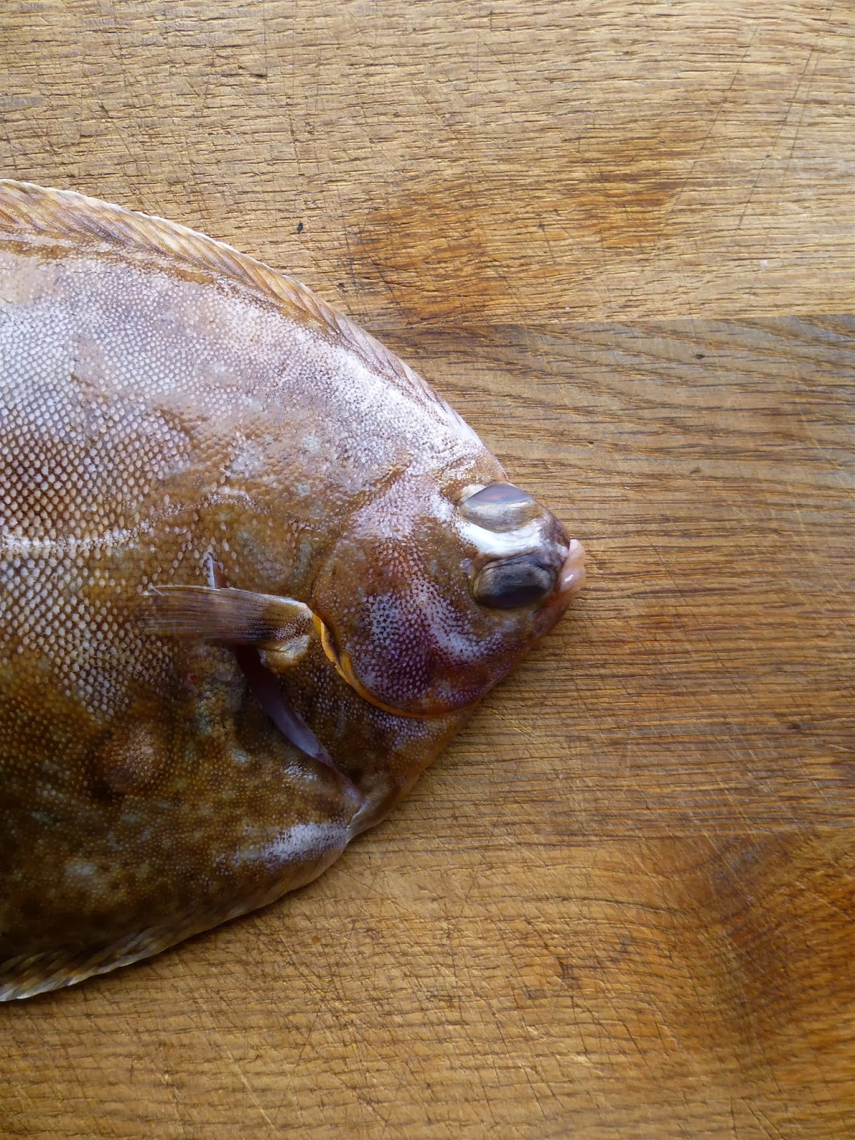 Sam Cooks Food Grilled whole lemon sole with crispy mussels, pickled