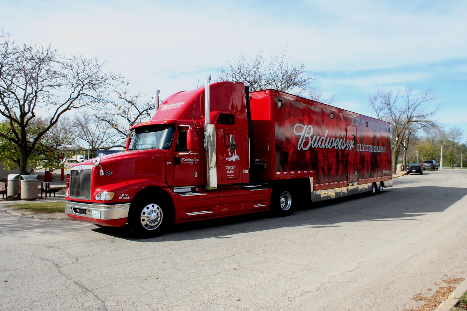 World Clydesdale Show The Budweiser Clydesdales arrive in Madison!