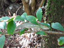 Réunion