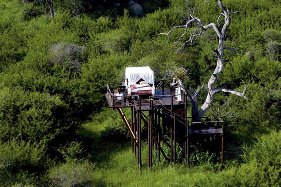 sabi sand Game reserve,