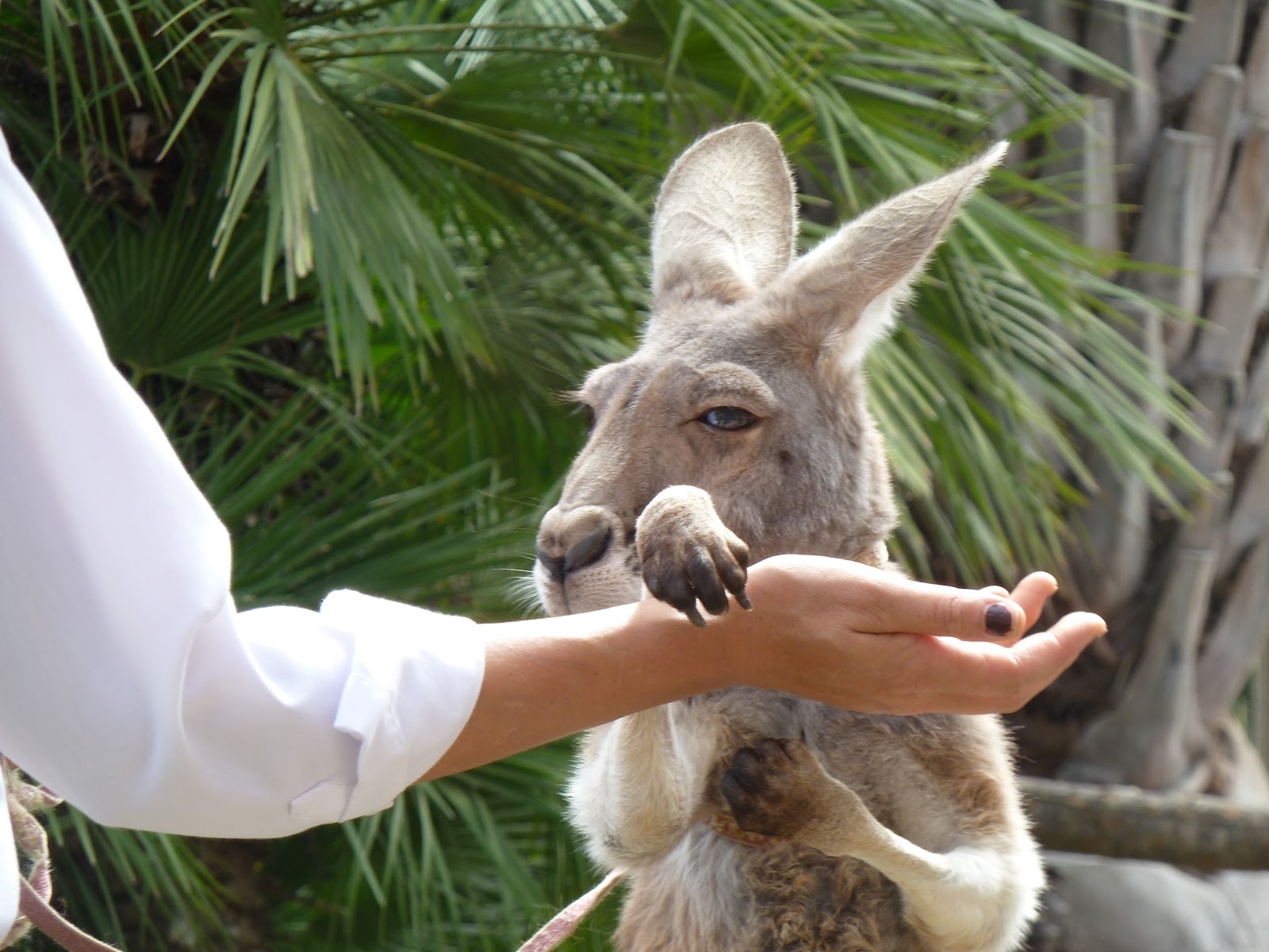 CRYSTAL CLEAR San Diego’s best kept secret