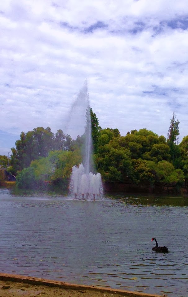 Mounts Bay Lake Fountain