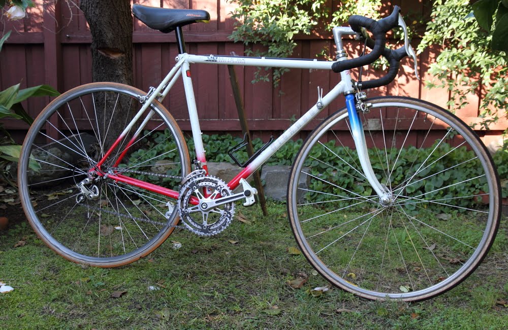 Moltojunk Bicycle Ricardo Elite SX