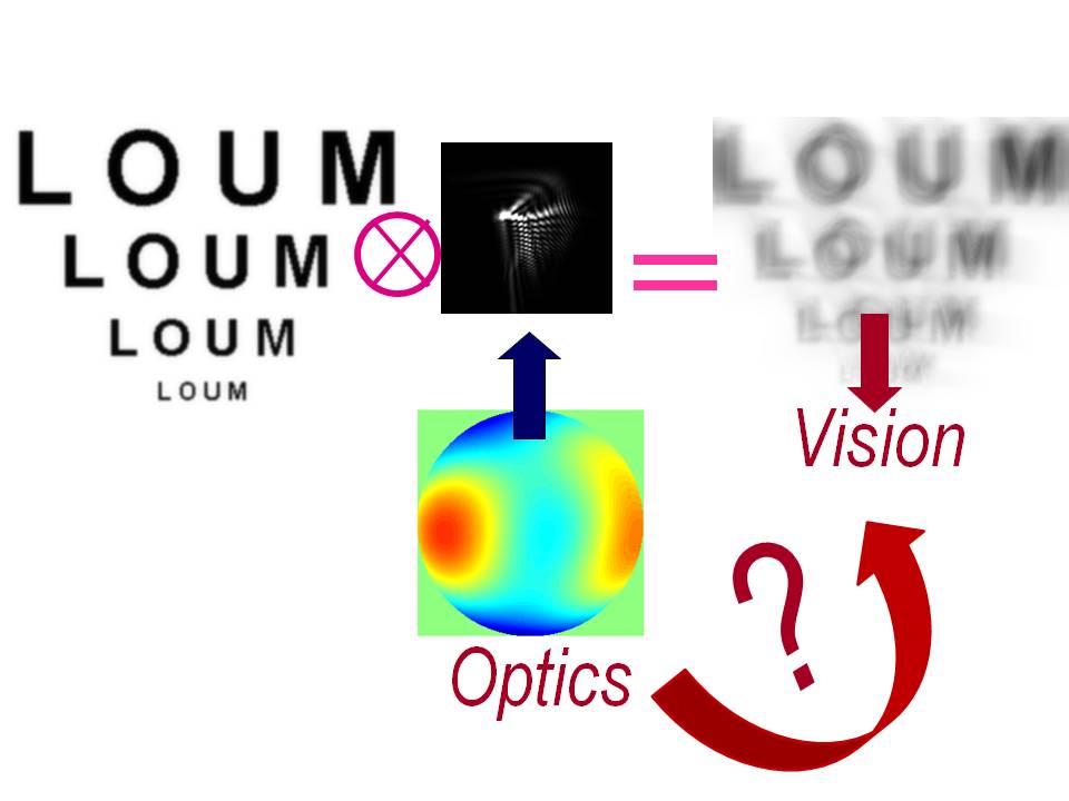 Optics and vision how the eye affects your quality of vision? Pablo