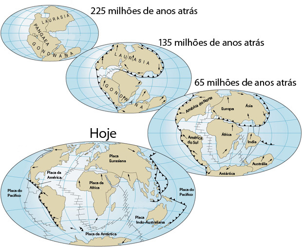 рекламная деятельность учреждений сс и скс