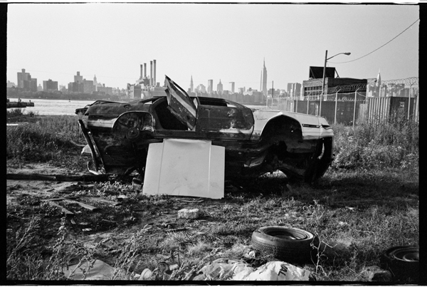 car stripping