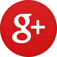  Google +