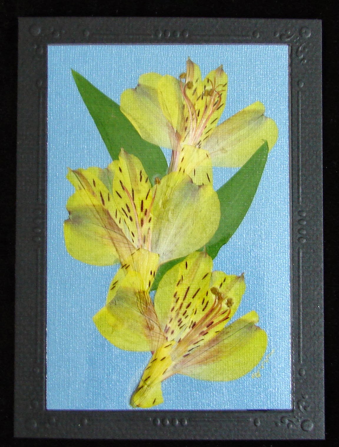 Floral Blessings: Greeting cards
