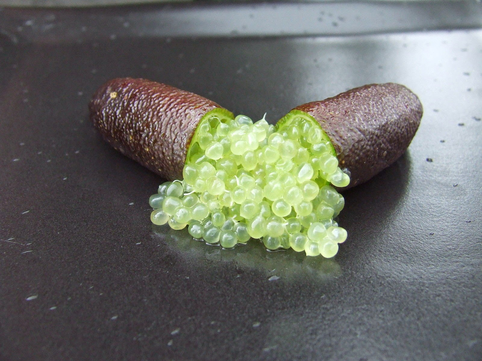 Plants For Sale Grafted Finger Lime Many Variety