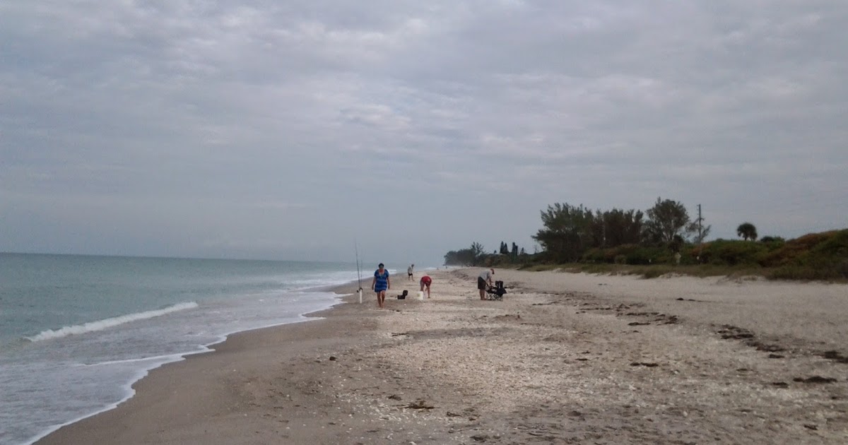 David Barr's Sarasota and Venice Real Estate Blog: Manasota Key Beach