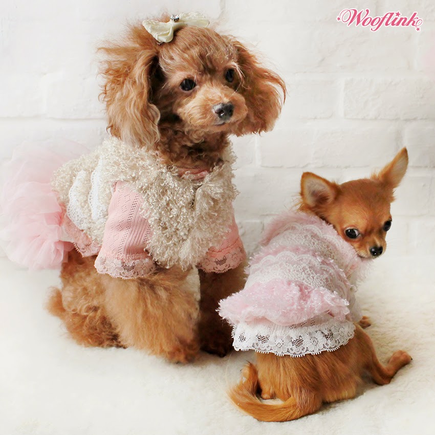 WOOFLINK Hip designer dog clothes DIVA ♥
